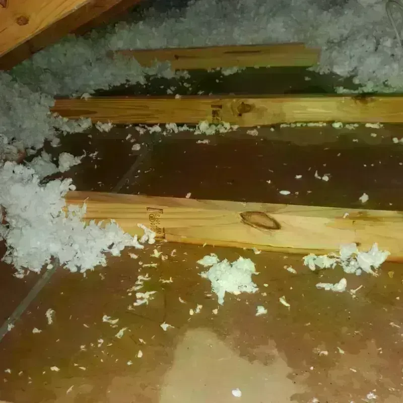 Attic Water Damage in Sellersville, PA